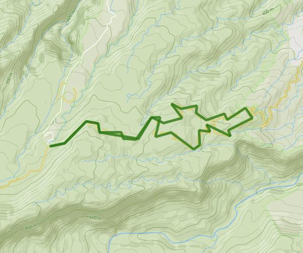 De Sentier de la Forêt des Lianes à Sentier de l'Eden