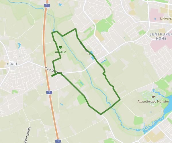Rund um Münster
