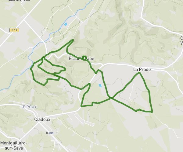 Trail Escane 12