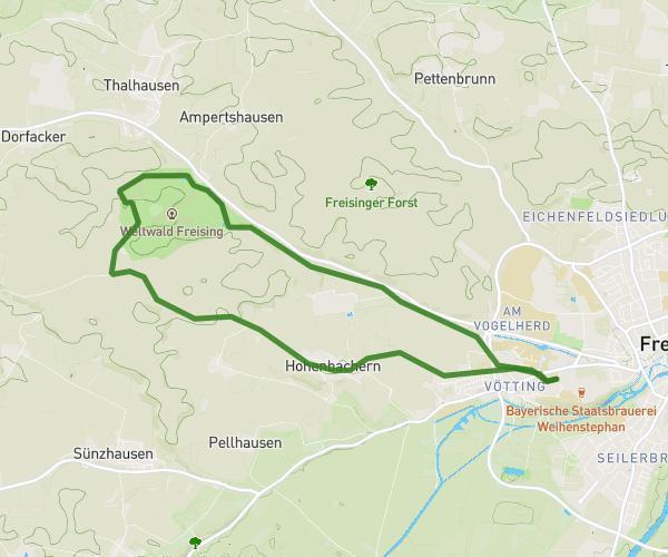 ZHS-Weltwald 13 km