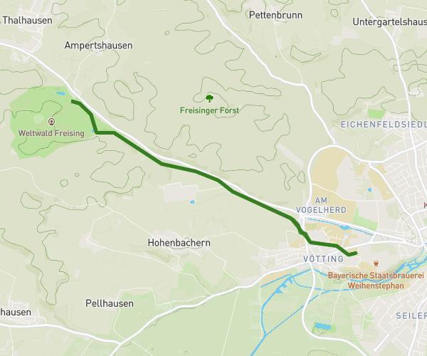 ZHS-Weltwald 10 km