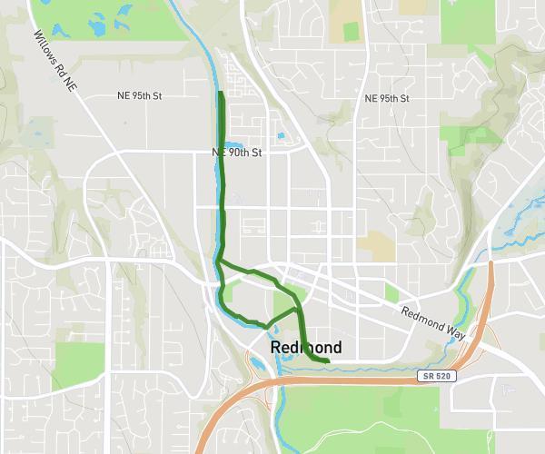MSD Give 5k: Sammamish River Trail