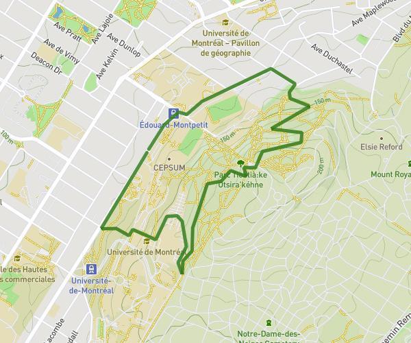 Colline d'Outremont from CEPSUM (Édouard-Montpetit / No 2141)