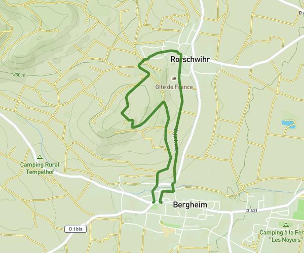 De Tanzlinde à Bergheim