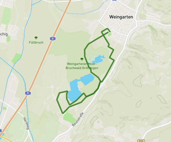 Träublelauf 2027 - 10 km