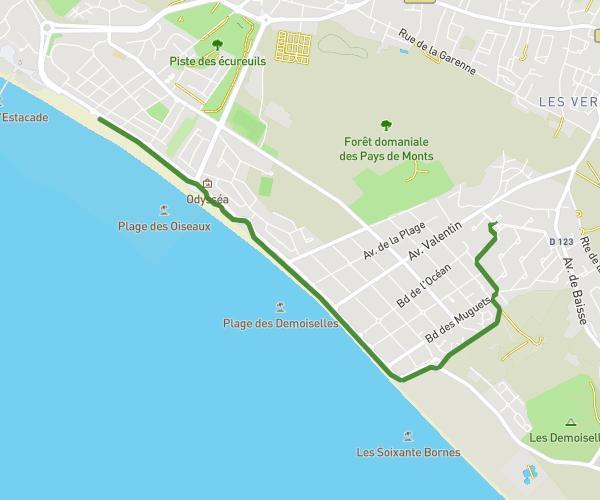 Autour de Saint-Jean-de-Monts