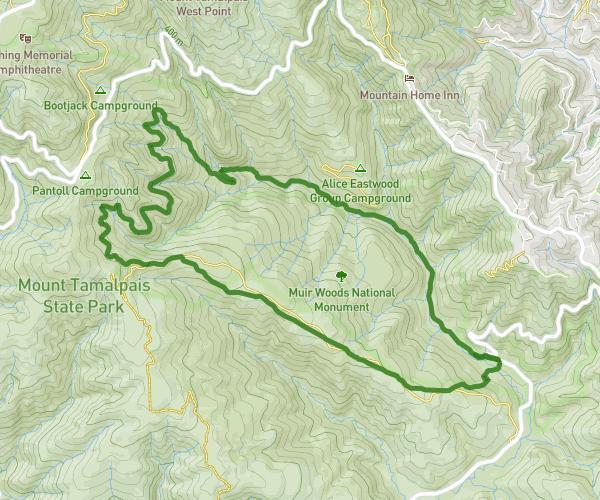 From Redwood Creek Trail to Dipsea Trail