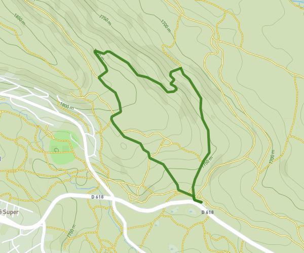 La poule : Autour de Sentier Route des Lupins